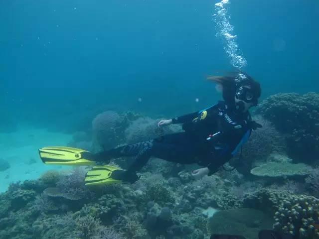 海绵宝宝寻珍宝